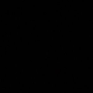 Meet your Posher, Abuu